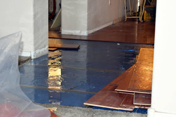 Professional Basement Flood Cleanup technician working in Port Huron, MI