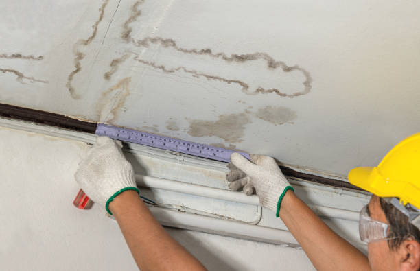 Reliable Basement Flood Cleanup contractor in Port Huron, MI by Aqua Guard Water Damage